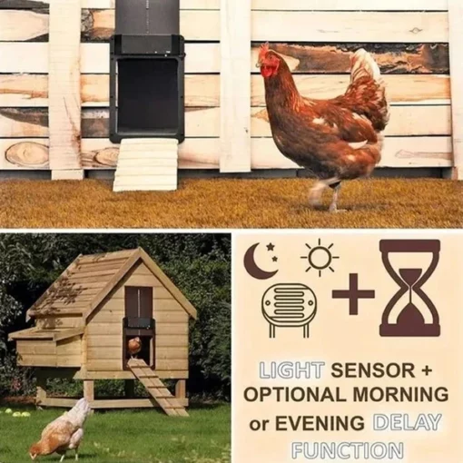 🎉LAST DAY 60% OFF🎉 - Automatic Chicken Coop Door - Image 8