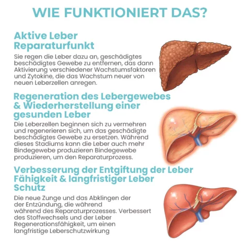 Oveallgo™ DetoxiSense Profi Kräuter-Nasenbeleber - Image 5