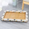 Pet ice pad mat