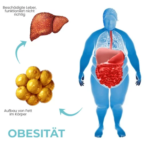 Oveallgo™ DetoxiSense Profi Kräuter-Nasenbeleber - Image 10