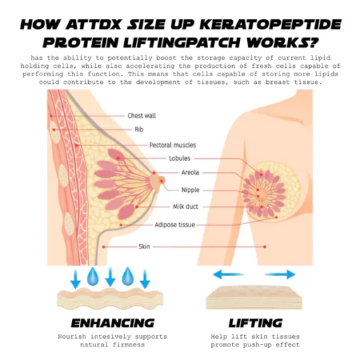 ATTDX SizeUp Keratopeptide Protein LiftingPatch - Image 6