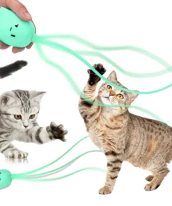 Most high-tech electric cat toy of 2024