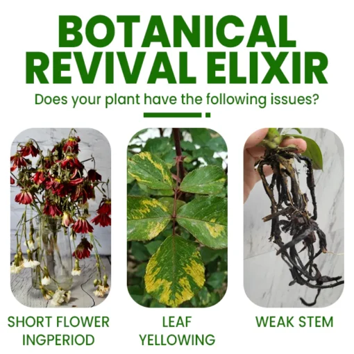 LIMETOW™ Botanical Revival Elixir - Image 4