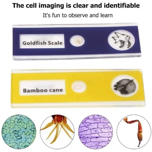 Kid's Portable Pocket Microscope - Image 4