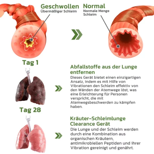 GFOUK™ DeepBreath Kräuter-Schleimlöser für die Lunge - Image 5