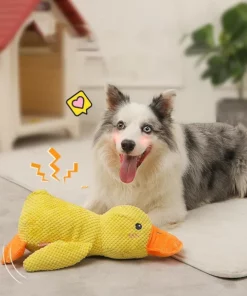 Quack-Quack Duck Dog Toy