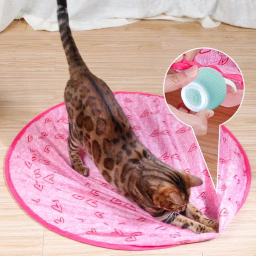 Smart Cat Interactive Ball Toys - Image 2