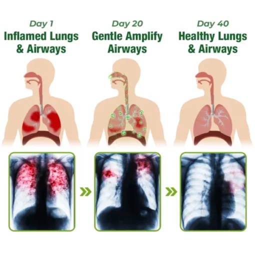 GFOUK™️ BreathePure Respiratory Cleansing Herbal Nasal Device - Image 6