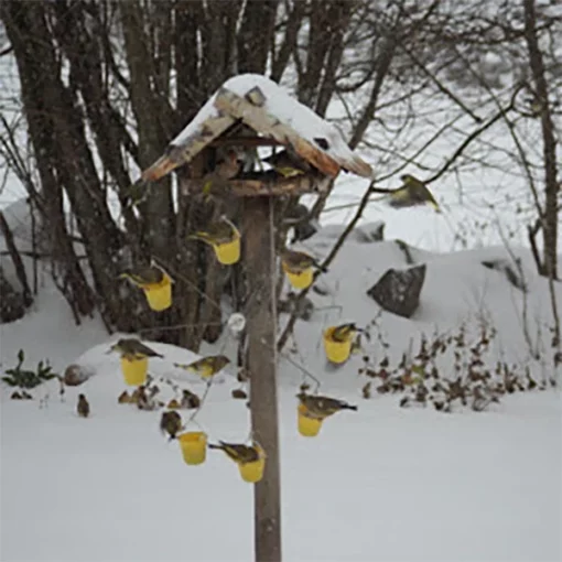 High Quality Super Hardness Ferris Wheel Bird Feeder🐦Birds can play in your garden all day - Image 4