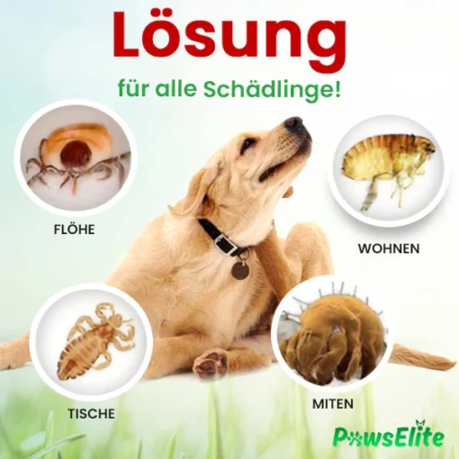 PawElite™ Floh & Zeckentropfen für Tiere - Image 6