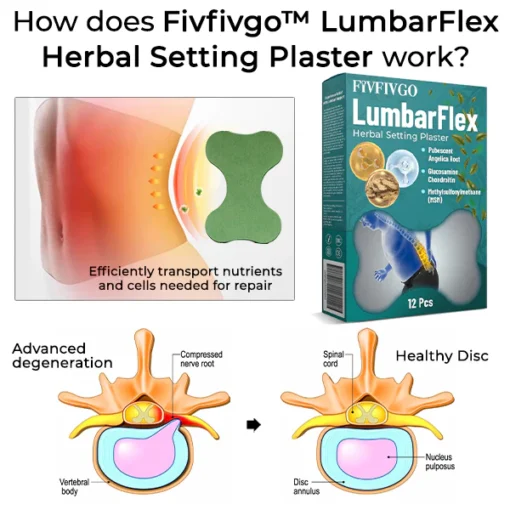 Fivfivgo™ LumbarFlex Kräuterpflaster - Image 5